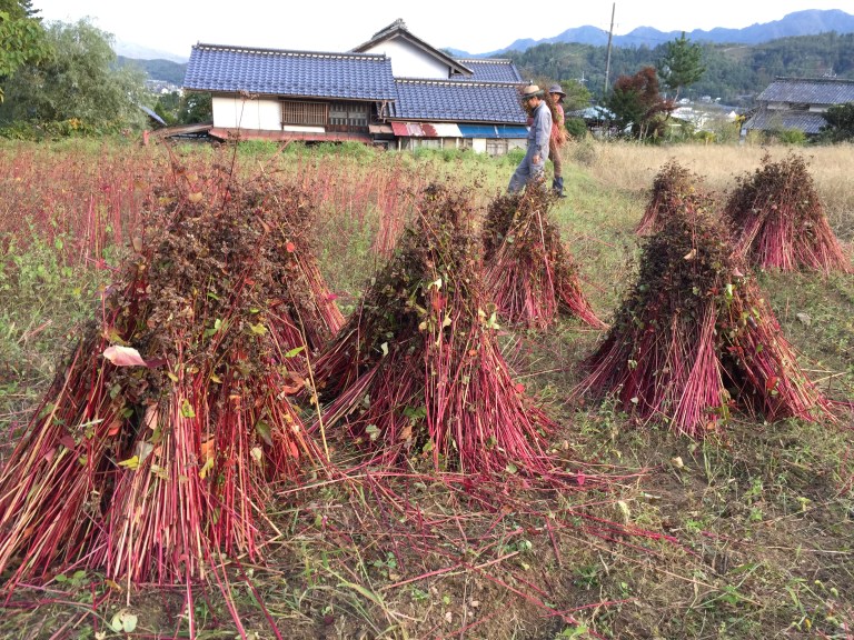 20161018_073705865_ios